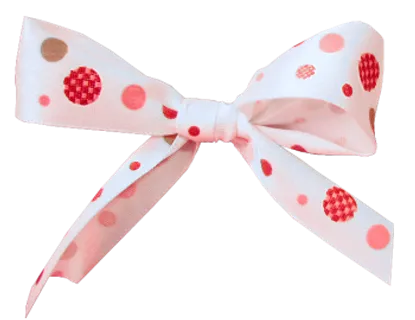 蝴蝶结彩带 蝴蝶结彩带