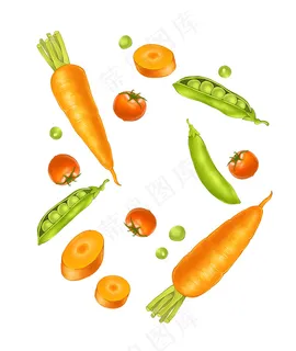 手绘 胡萝卜 扁豆 蔬菜 手绘 胡萝卜 扁豆 蔬菜