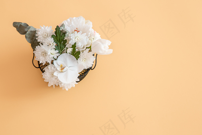 背景为纯色，有鲜艳的白色花朵。