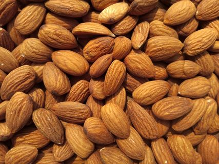 杏仁 扁桃仁