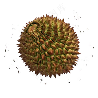 仿真榴莲png图