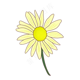 手绘矢量卡通重阳节菊花