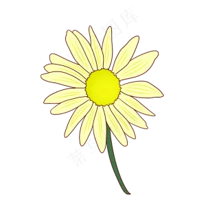 手绘矢量卡通重阳节菊花
