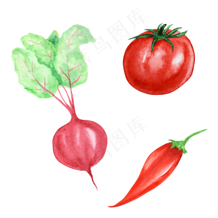 水彩画《红色蔬菜集》插图