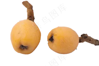 清甜多汁的枇杷果
