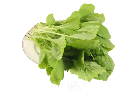 一盘小白菜 一盘小白菜