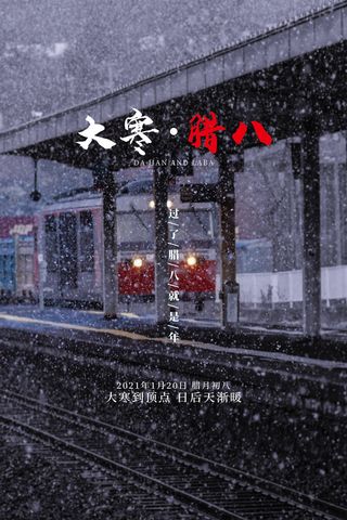 雪景大寒节简约淡雅海报