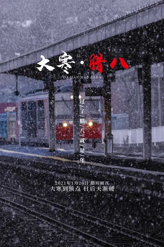 雪景大寒节简约淡雅海报