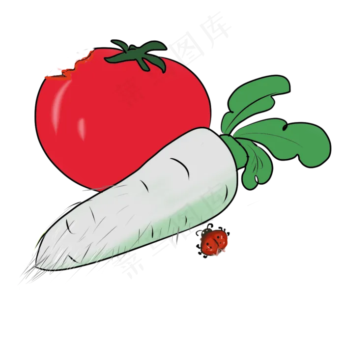手绘秋分蔬菜(2000X2000(DPI:300))psd模版下载
