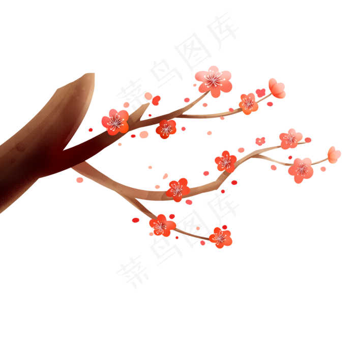 树枝上散落的梅花