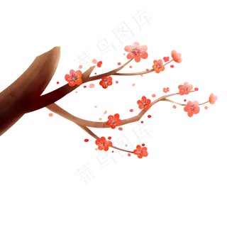 树枝上散落的梅花