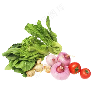 生菜洋葱番茄姜 生菜洋葱番茄姜
