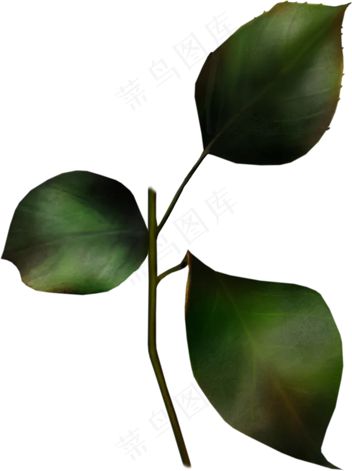 超高清玫瑰花