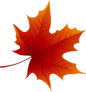 秋天枫叶png素材