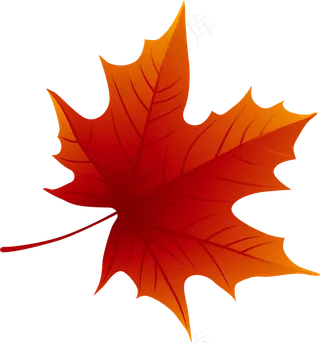 秋天枫叶png素材