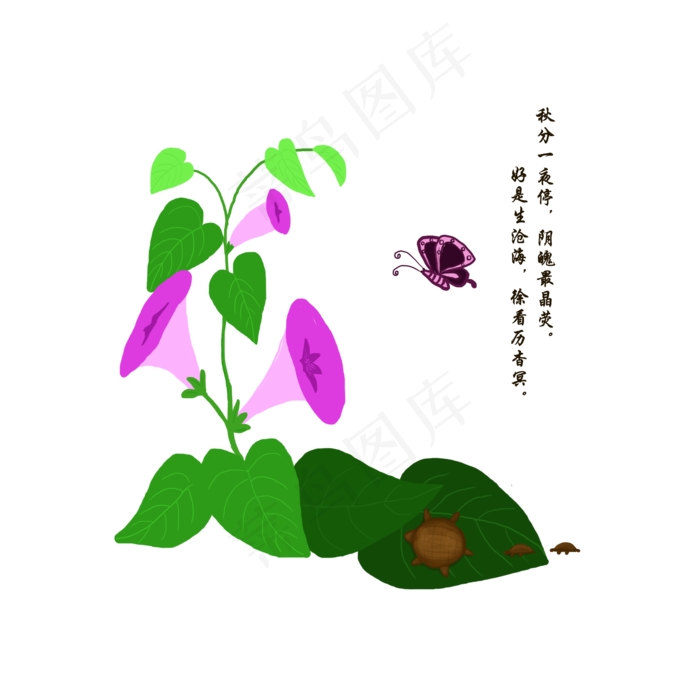 秋分牵牛花(2000X2000(DPI:300))psd模版下载