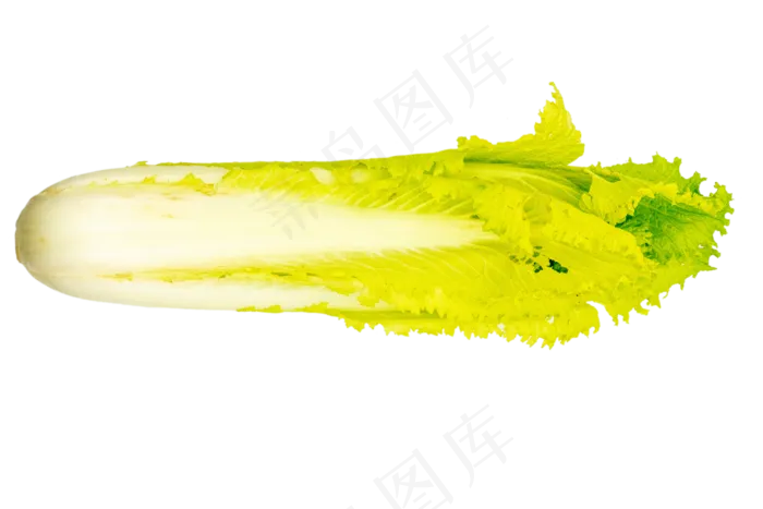 新鲜白菜(2000X2000(DPI:300))