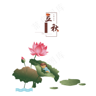 立秋手绘立秋晚荷