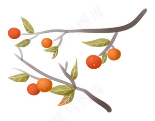 秋天丰收蔬果柿子农作物树枝