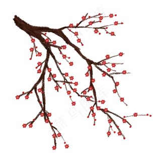 梅花花朵枝干