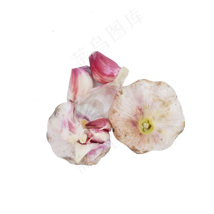 新鲜的大蒜(2000X2000(DPI:300))