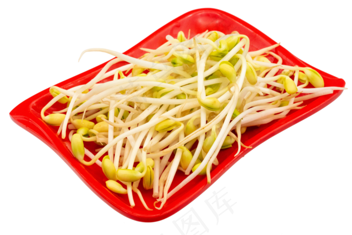 红色塑料盘绿豆芽(3000*2000px 300 dpi )