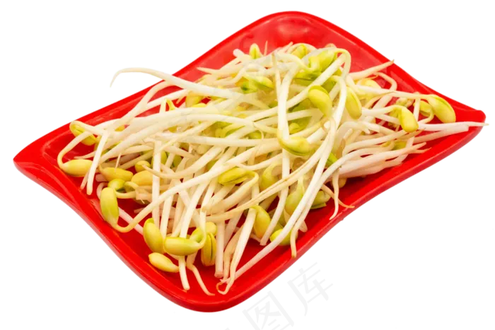红色塑料盘绿豆芽(3000*2000px 300 dpi )