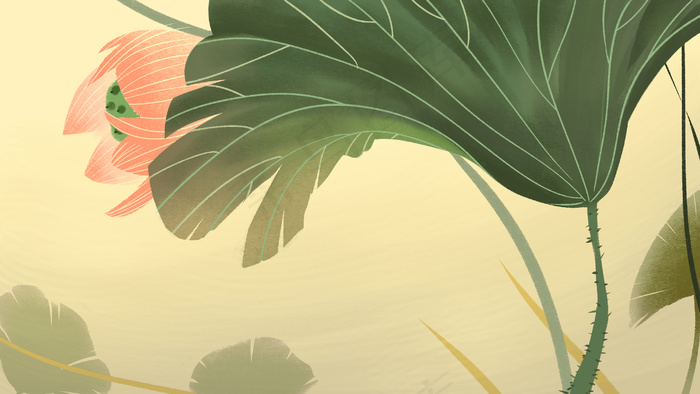 中国风古风工笔风唯美荷花荷叶背景