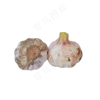 两头大蒜 两头大蒜