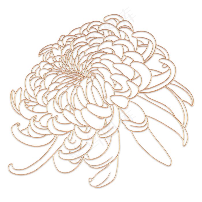 中秋节立体金边菊花(2000X2000(DPI:300))psd模版下载