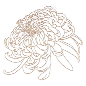 中秋节立体金边菊花