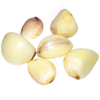 白色蔬菜蒜