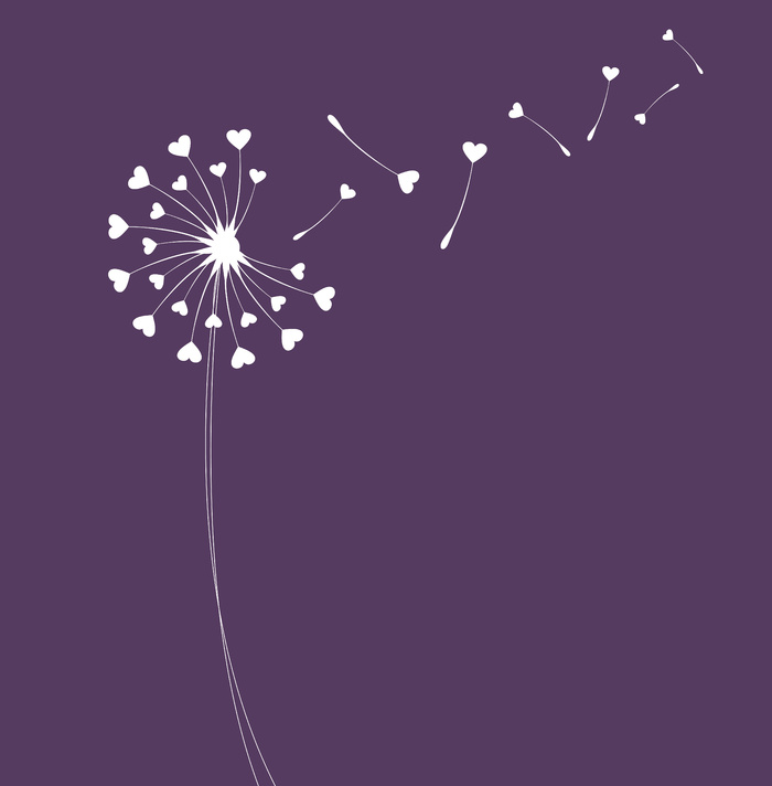 蒲公英与种子矢量图