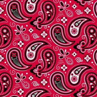 创意红色佩斯利头巾图案