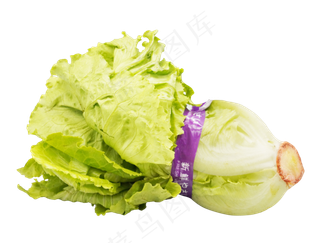 新鲜蔬菜生菜