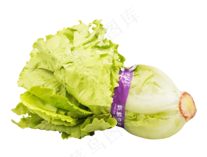 新鲜蔬菜生菜 新鲜蔬菜生菜