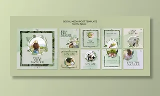 感受自然的社交媒体帖子