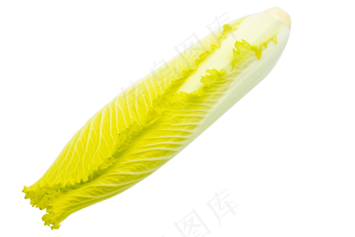 娃娃菜白菜(3000*2000px 300 dpi )