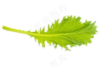 青菜叶子