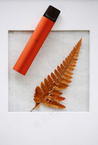 【20200508】电子物料