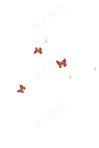 中国风国画蝴蝶高清免扣素材图1