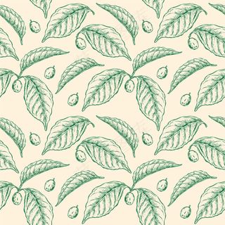 咖啡叶无缝图案