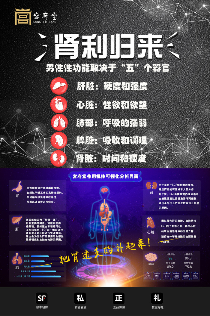 肾者归来五个器官psd模版下载