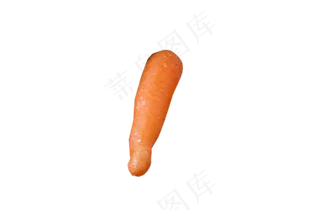 无公害新鲜健康蔬菜