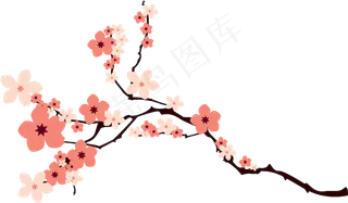 樱花开花植物免扣png