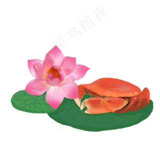 手绘大闸蟹荷叶荷花点缀PNG免