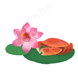 手绘大闸蟹荷叶荷花点缀PNG免