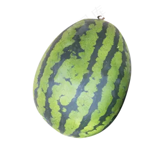 绿色椭圆形西瓜