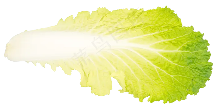 绿色蔬菜白菜叶(4000*2000px 300 dpi )