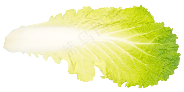 绿色蔬菜白菜叶